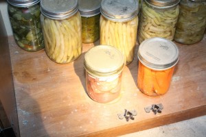 Hope Kelly says the wardens removed 110 jars of her home-canned fruits and vegetables and 36 jars of moose meat. The meat was never proven to be illegally obtained, but all Kelly got back was 33 pints of the garden goods. A warden service evidence photo shows some of the jars.