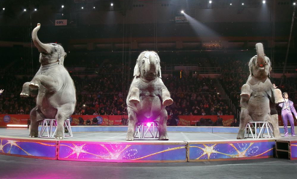 Asian elephants perform for the final time in the Ringling Bros. and Barnum & Bailey Circus on Sunday in Providence, R.I. The animals will live at the 200-acre Center for Elephant Conservation in central Florida.