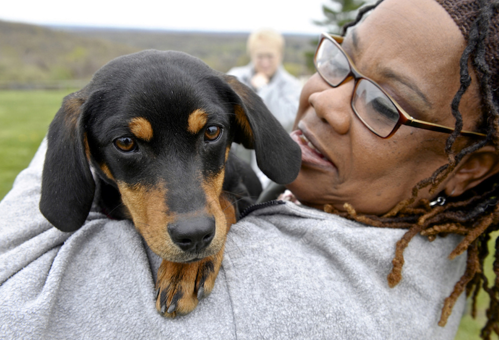 Linda Watkins gives Bitsy a hug at the Federal Correctional Institute, in Danbury, Conn. They are taking part in a new dog training program that has started at the Federal Correctional Institution's minimum-security women's camp in Connecticut.