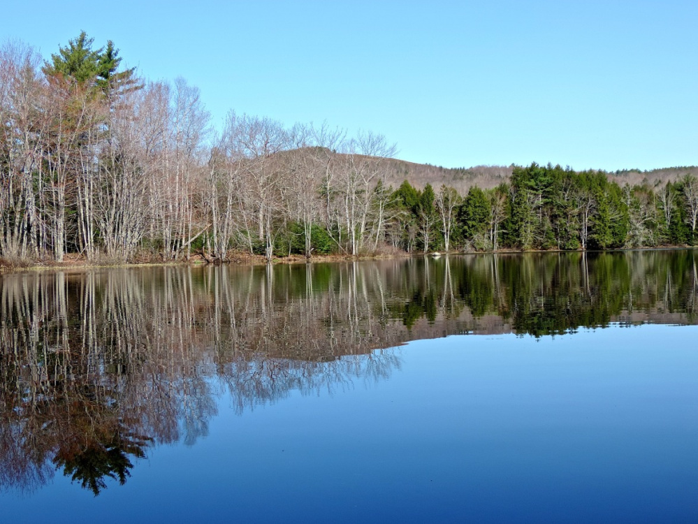 Ridges above the treeline at True's Pond in Montville provide beautiful scenery to go with the abundance of wildlife on the oddly shaped pond.