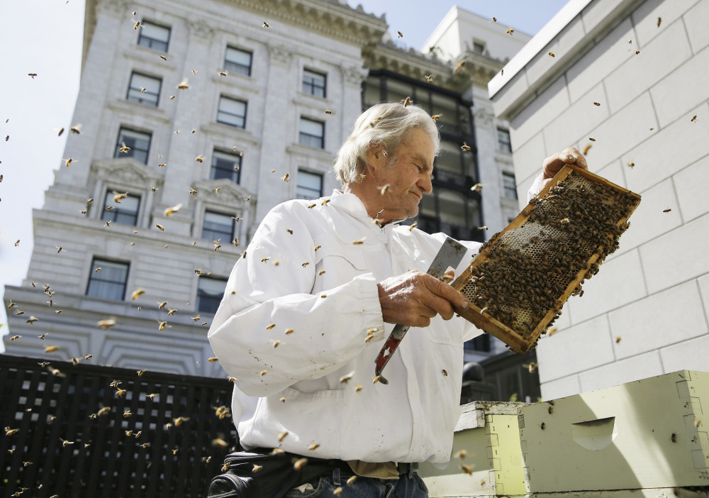 Beekeeper Spencer Marshall checks a number of hives on a garden deck outside the Fairmont Hotel in San Francisco. At least seven hotels in the California city have built rooftop beehives as part of a sustainability effort and to raise awareness about the worldwide honeybee colony collapse.