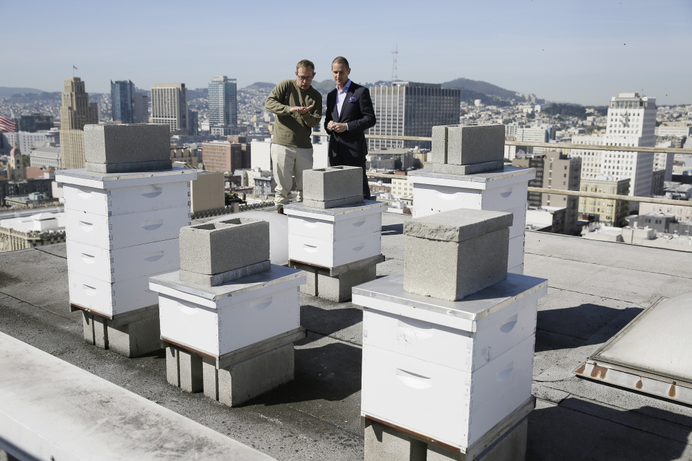 Beekeeper Roger Garrison, left, and hotel general manager Michael Pace look over the beehives on top of the Clift Hotel in San Francisco. Garrison cares for and tracks the honeybees.