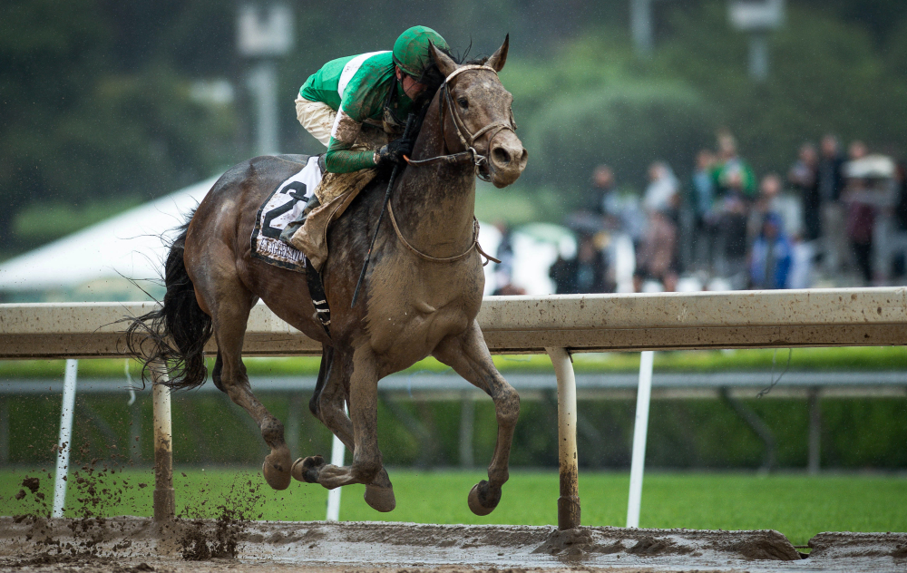 Exaggerator and jockey Kent Desormeaux, winners of the Santa Anita Derby in California in April, are set to challenge Preakness favorite Nyquist on Saturday. Exaggerator has lost four times to Nyquist.