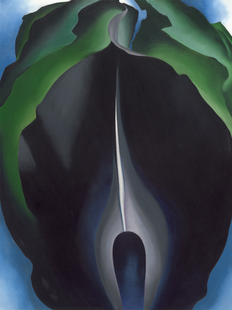 Courtesy of Portland Museum of Art/ National Gallery of Art, Washington 
 "Jack-in-the-Pulpit No. IV," 1930, by Georgia O'Keeffe