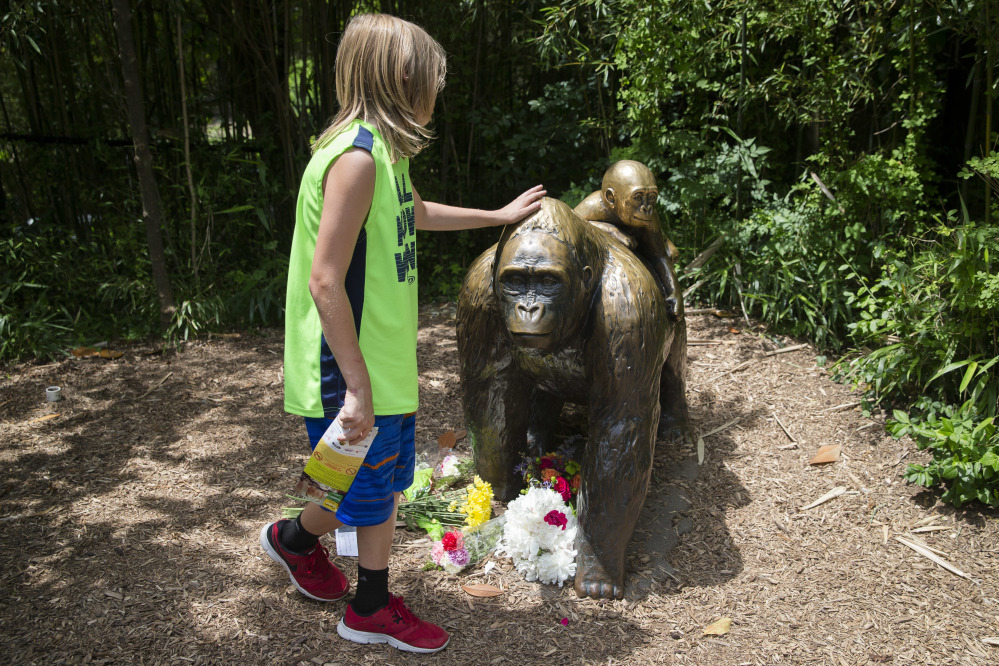 A child touches a gorilla statue where flowers have been placed at the Cincinnati Zoo & Botanical Garden on Sunday. After a 4-year-old fell into an exhibit Saturday, a zoo response team killed a gorilla to rescue the boy.