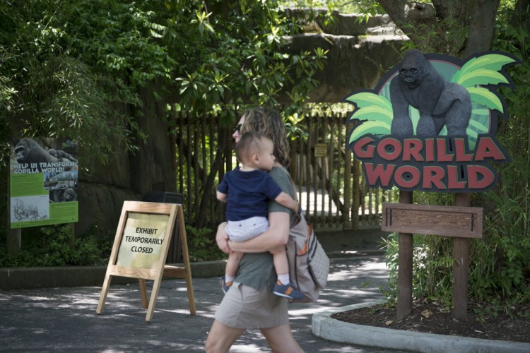 A visitor with a small child passes outside the shuttered Gorilla World exhibit at the Cincinnati Zoo & Botanical Garden, Sunday, May 29, in Cincinnati.