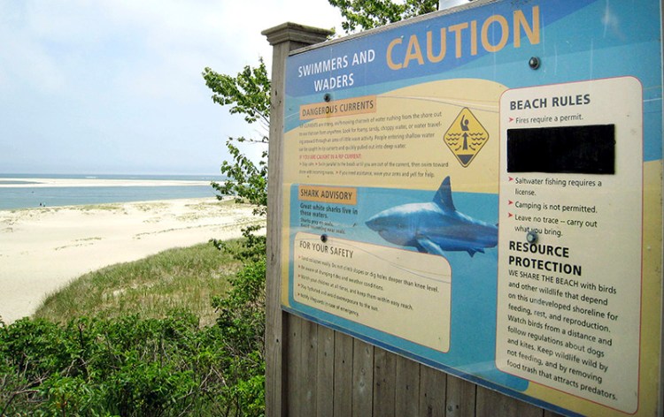 A sign at Chatham Lighthouse Beach beach warns of dangerous currents and sharks.