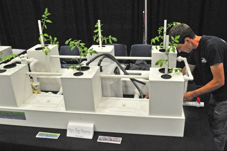 Dylan Orff, owner of Orff's Own Aeroponics, sets up his company's booth Friday for the Medical Marijuana Caregivers of Maine trade show at the Augusta Civic Center, which runs Saturday and Sunday. The tomato plant roots are suspended from a basket and sprayed with water inside the boxes in the setup. Show rules don't allow people to bring live marijuana plants inside.