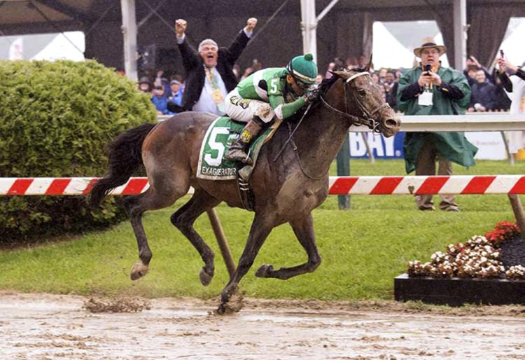 Michael Kerr celebrates while his brother George, right, records the moment as their 3-year-old thoroughbred, Exaggerator, crosses the finish line to win the Preakness at Pimlico Race Course in Baltimore last month. Two weeks earlier, Exaggerator placed second at the Kentucky Derby.