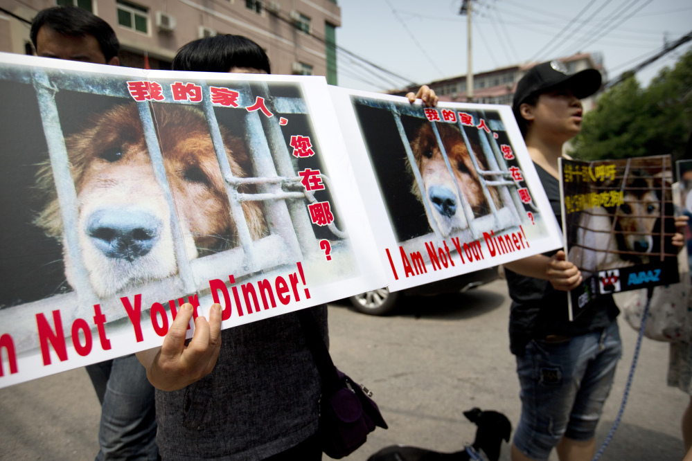 Animal rights advocates protest Friday outside the Yulin government office in Beijing, China, where they delivered a petition urging an end to the annual Yulin dog-meat festival.