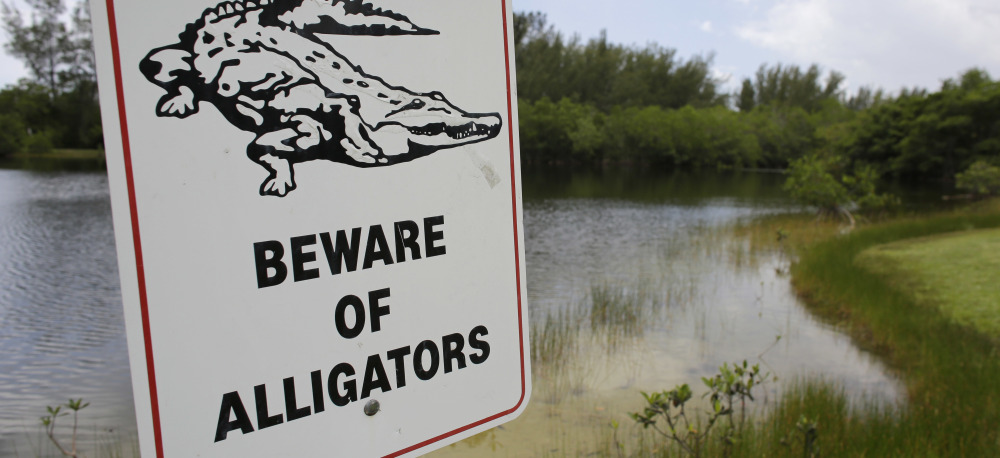 After a 2-year-old was killed by an alligator at a Disney Resort, many call for more warning signs like this one.