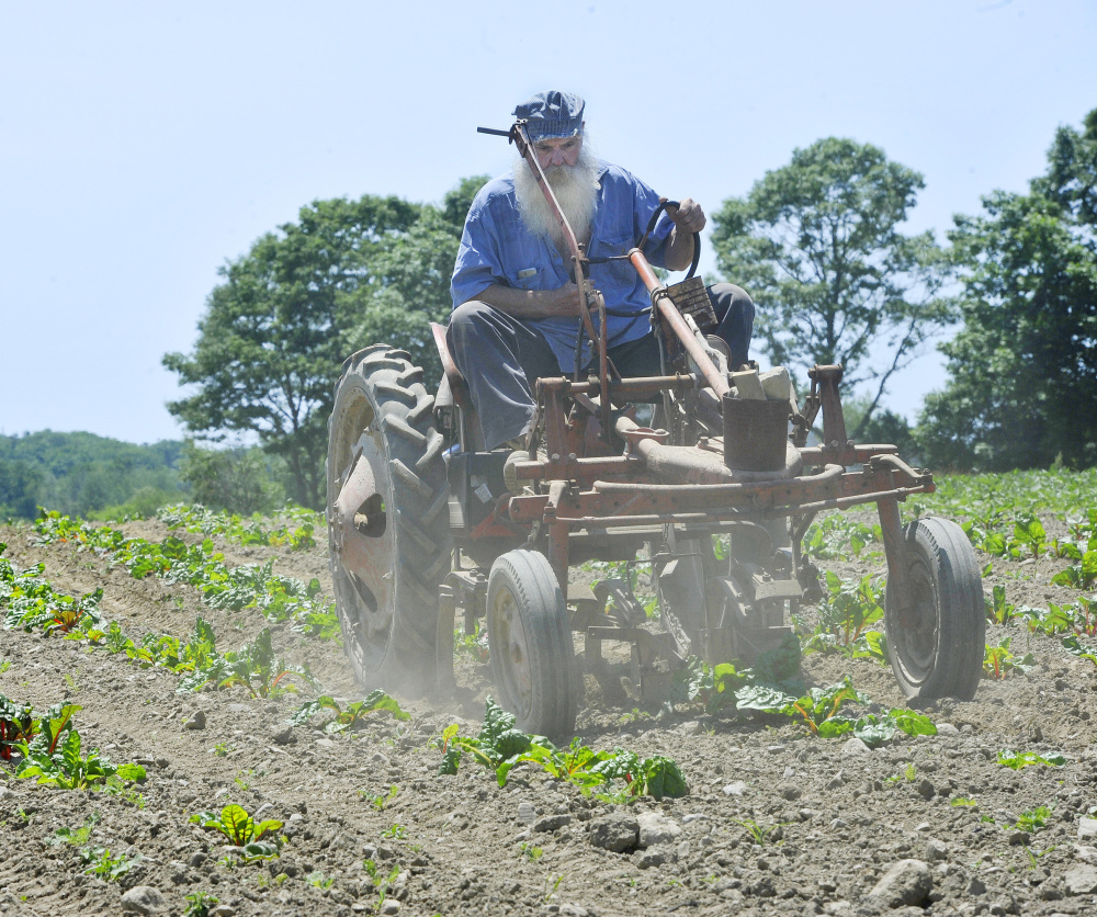 Mike Holmes runs an old cultivator through the furrows of a dry and dusty beet field at the Jordan Farm in Cape Elizabeth on Saturday afternoon.