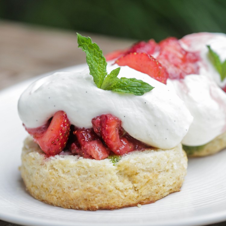 Shortcake is the epitome of good New England country cooking.