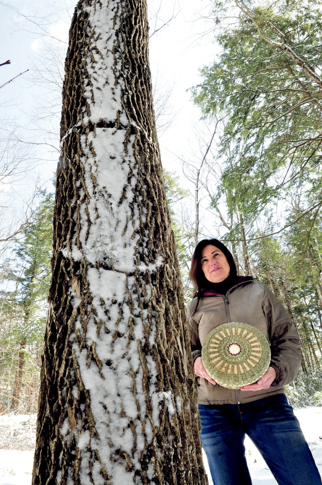 Theresa Secord holds a basket she made beside a towering ash tree in Waterville in April 2014, while raising concerns that the invasive emerald ash borer may devastate ash trees in Maine.