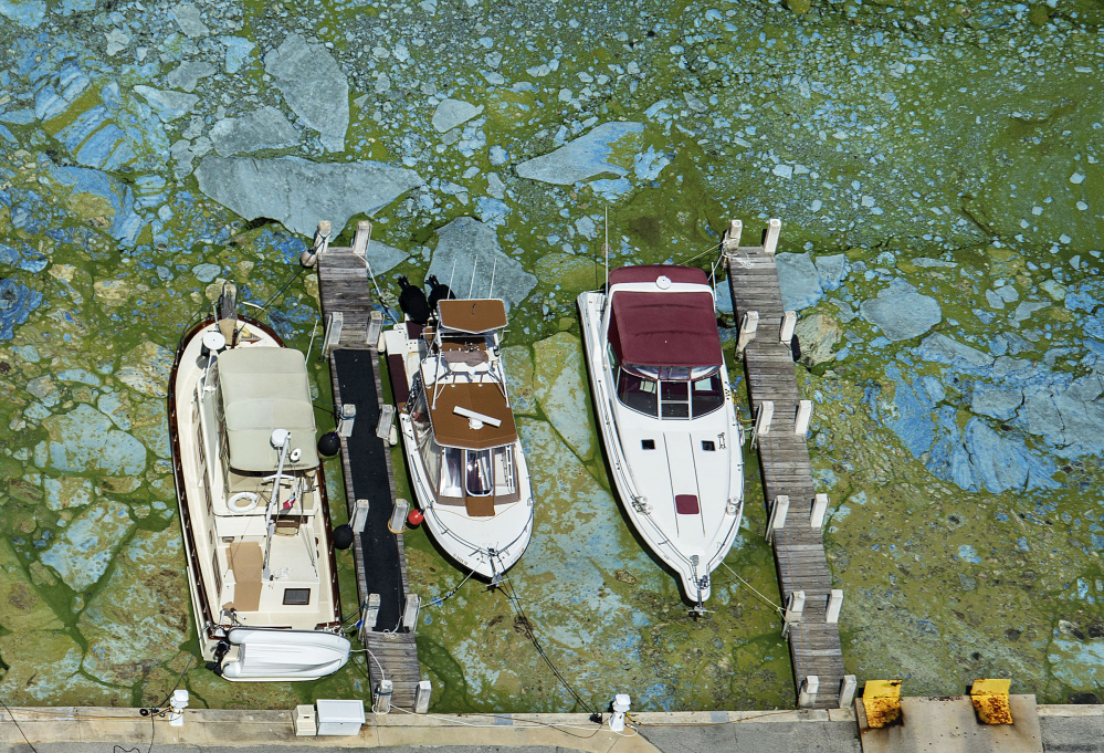 Boats are surrounded by algae Wednesday in Stuart, Fla. Blooms that formed last week in the St. Lucie River are spreading and the governor has declared a state of emergency.