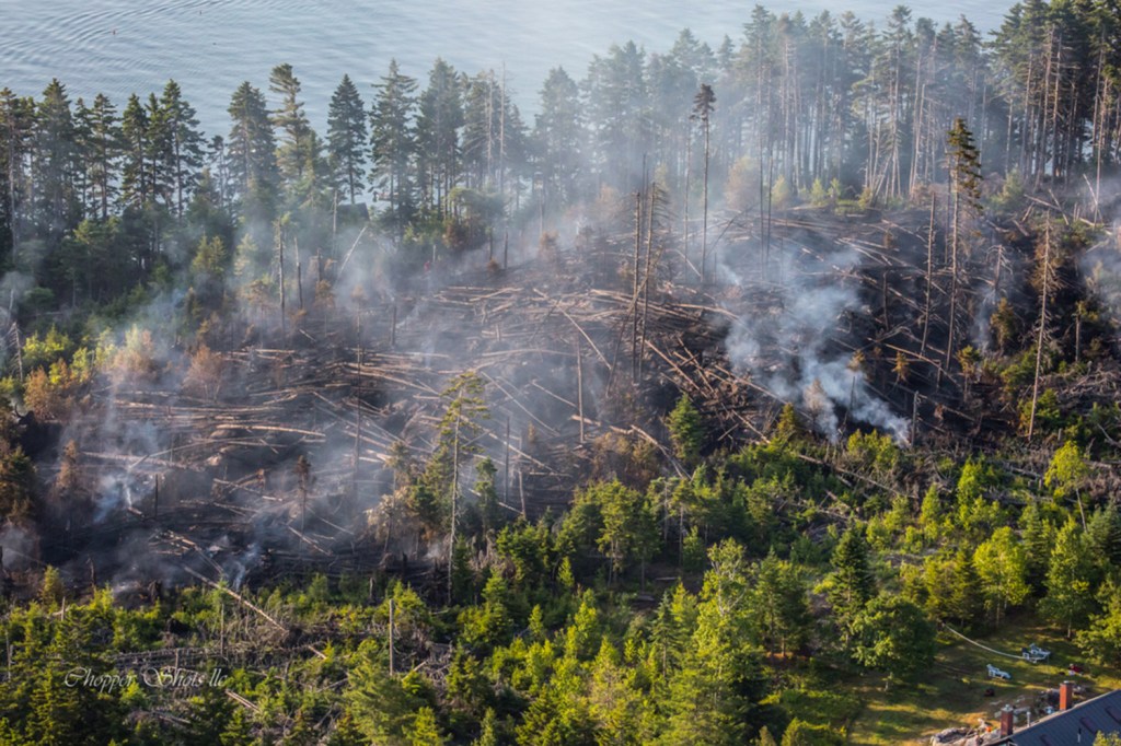 Dense underbrush posed a challenge to firefighters on Sheep Island.