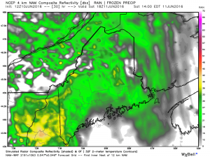 Some showers possible Saturday afternoon June 11th.