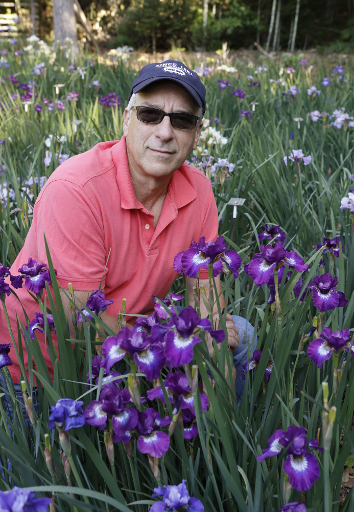 Dean Cole says his hybridized irises "are a lot like children. You can have five kids with the same parents, and they all look different."