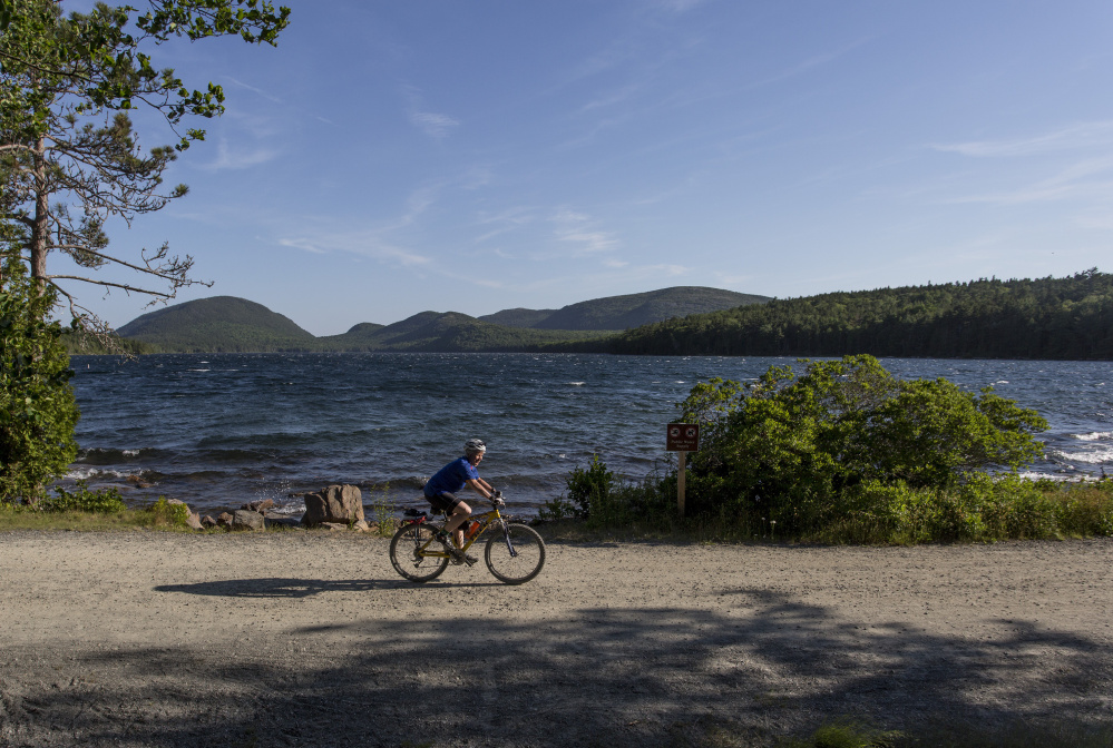 A geneticist at The Jackson Laboratory, Carol Bult also volunteers with the bike patrol of Mount Desert Island's Search and Rescue. Here, she cycles near Eagle Lake.