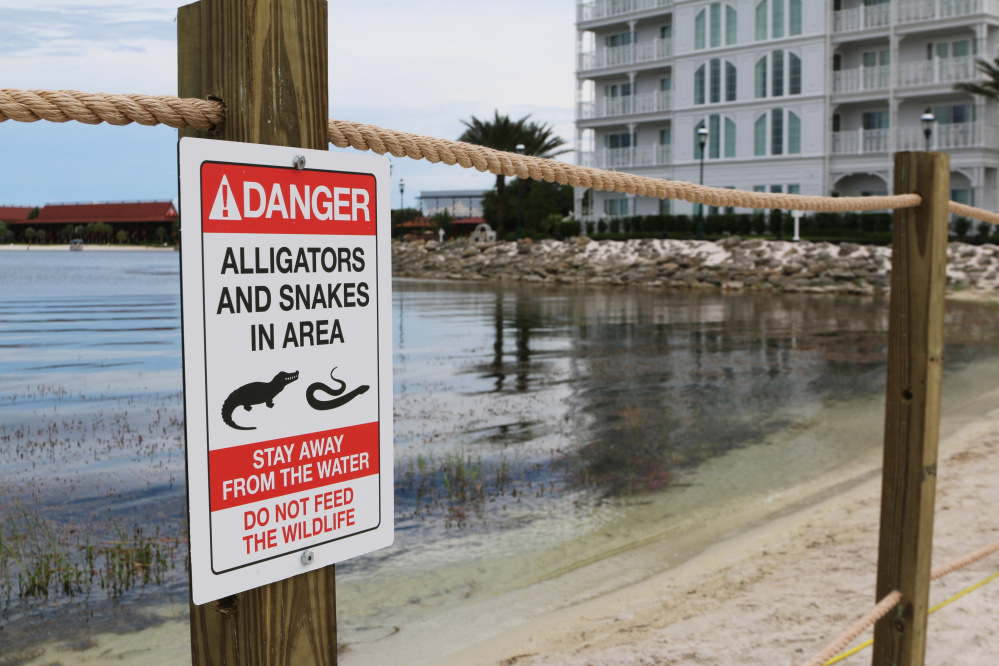 A new sign is posted on a beach outside a hotel at a Walt Disney World resort in Lake Buena Vista, Fla., on June 17, after a 2-year-old Nebraska boy was killed by an alligator at Disney World three days earlier.