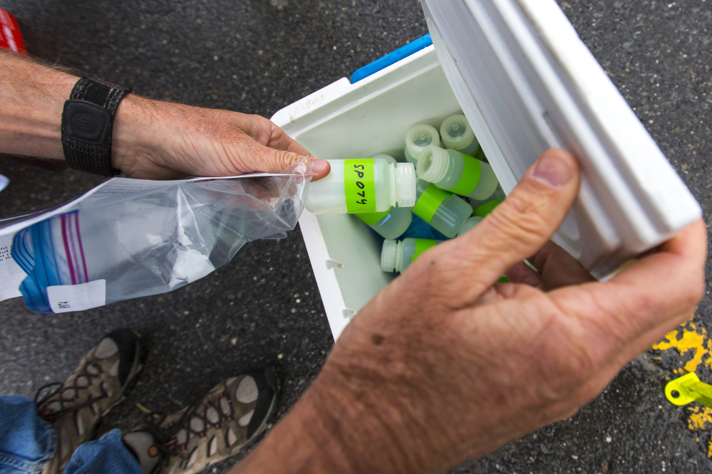 Peter Milholland, citizen steward coordinator for Friends of Casco Bay, places a water sample taken from the Fore River into a cooler. The samples will be tested for nitrogen content.