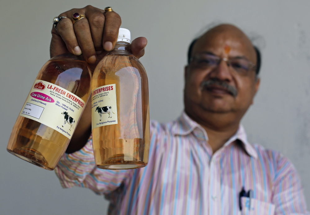 Businessman Vikash Chandra Gupta holds bottles of product at his urine-processing facility in India. The urine is sold to various makers of traditional medicines and herbal remedies.