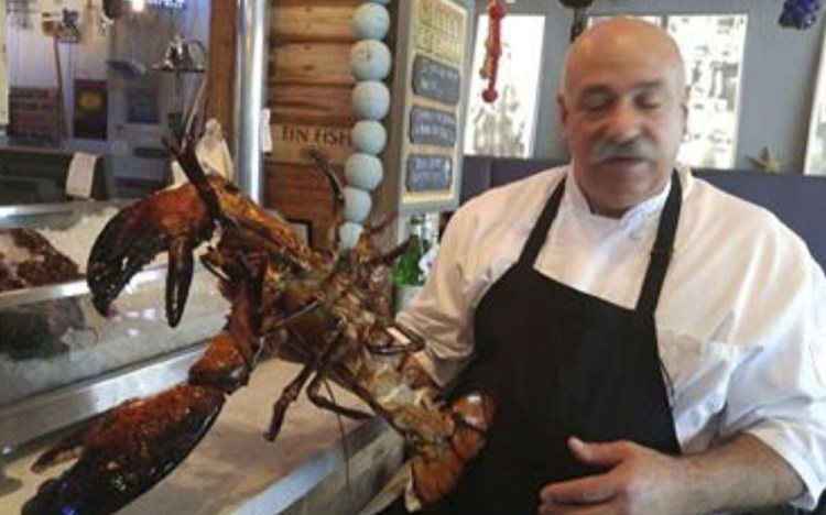 Chef Joe Melluso holds Larry the lobster at the Tin Fish restaurant in Sunrise, Fla.