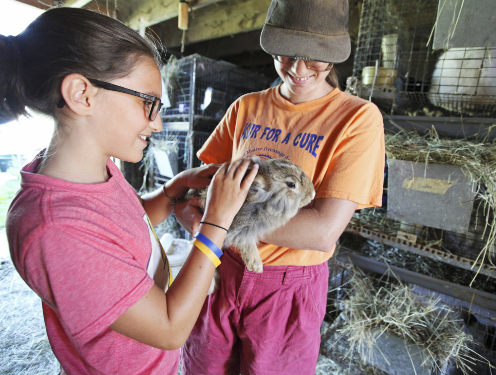 Althea McNulty, 11, of Falmouth feels the soft fur of an Angora rabbit held by Nancy Smith during Open Farm Day at Underhill Fiber Farm in Gorham.