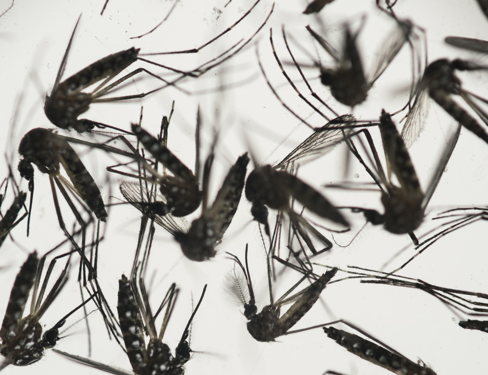 The federal agency wants blood collection to stop until donations can be tested for the Zika virus, expected to begin Friday.