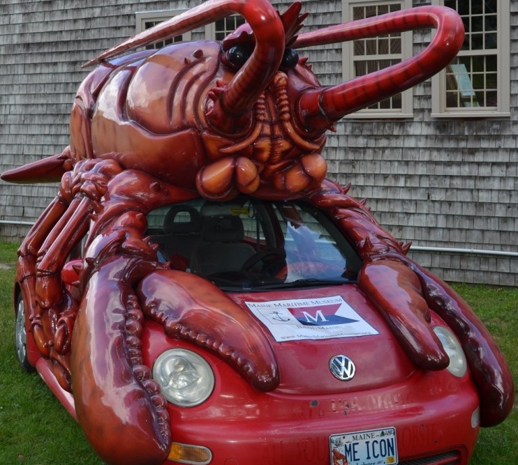 So you check the rear-view mirror, and there's a lobster on top of a Beetle on your bumper. Sounds like a 1950s horror flick. In Maine, it's another day on the coast.