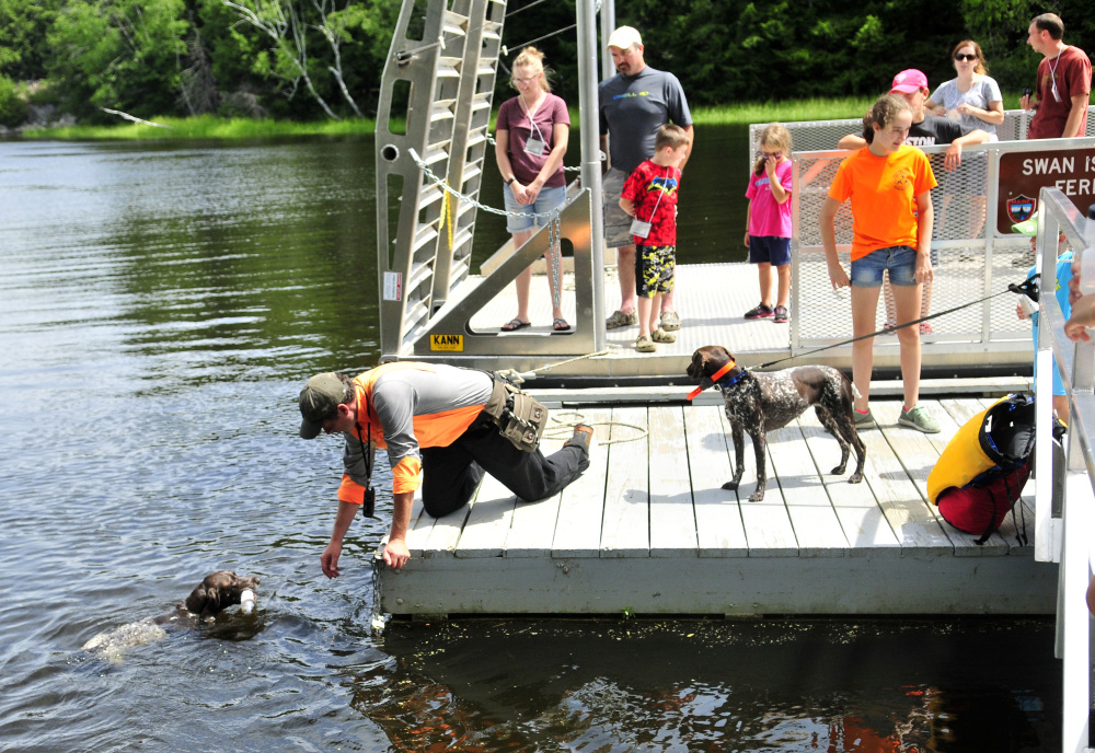 One of Jason Carter's dogs returns to the dock after retrieving a toy during a field day Saturday on Swan Island organized by the Maine Department of Inland Fisheries & Wildlife.