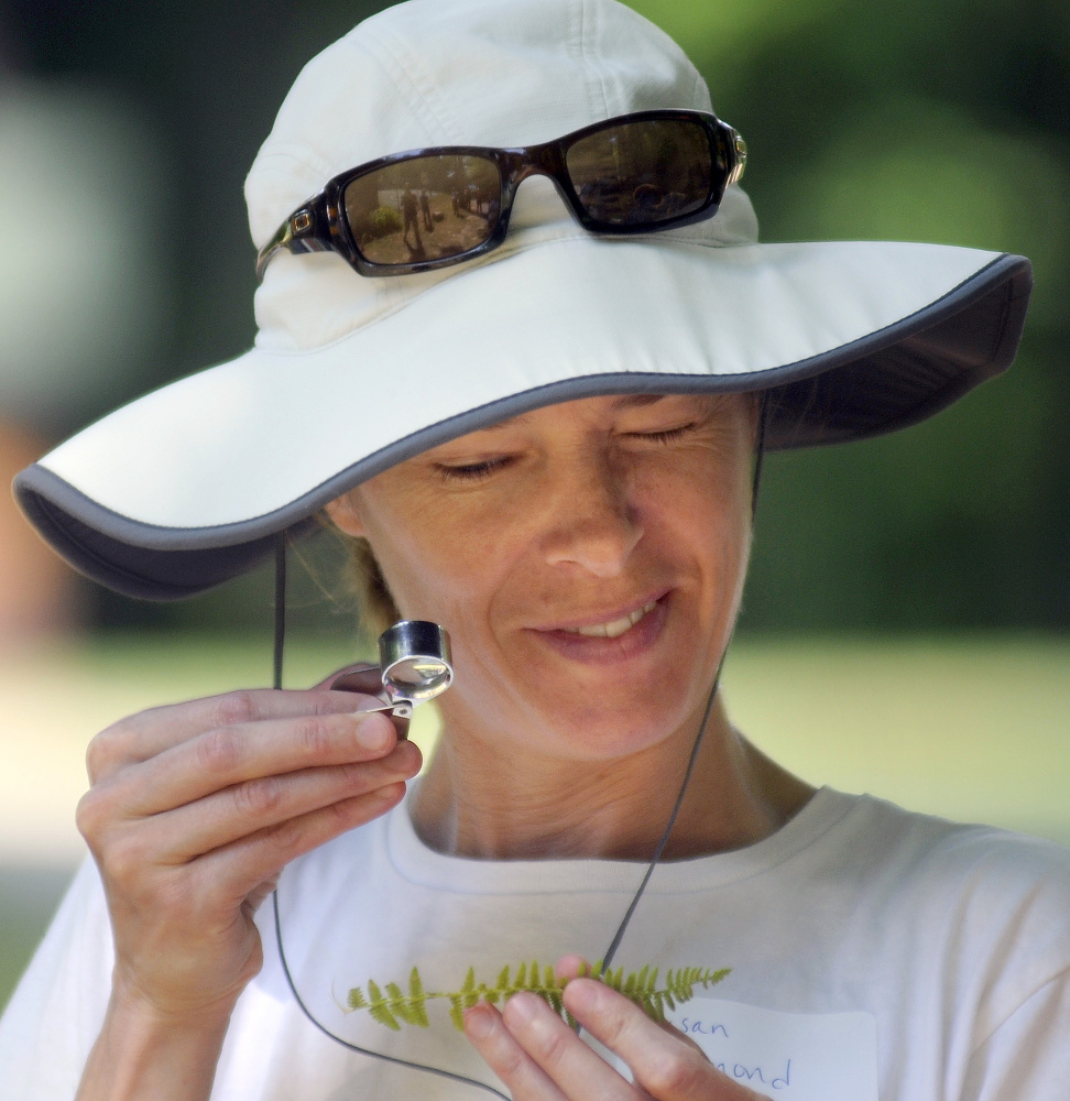 Susan Redmond, of Augusta, examines a fern Sunday during a field trip that was part of the annual meeting of the Kennebec Land Trust in Fayette.