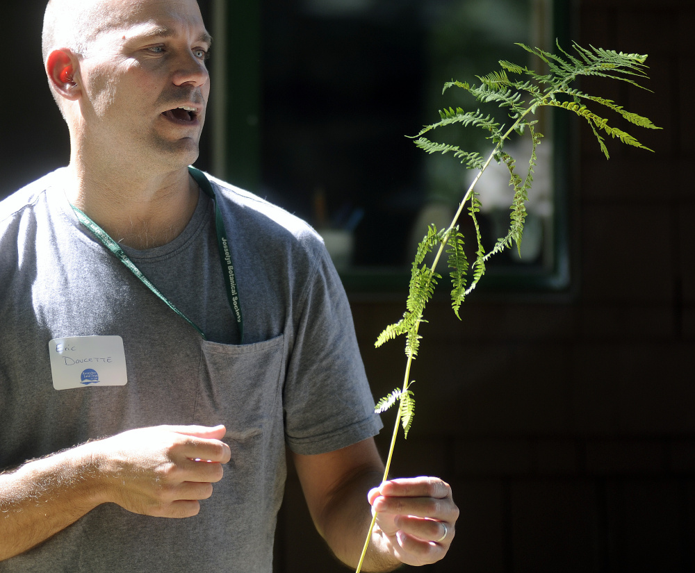 Botanist Eric Doucette describes the structure of a fern Sunday during a field trip that was part of the annual meeting of the Kennebec Land Trust in Fayette.
