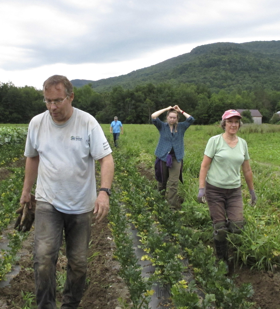 A team of volunteers called a crop mob move to another row after weeding root vegetables at Maple Wind Farm, in Bolton, Vt.