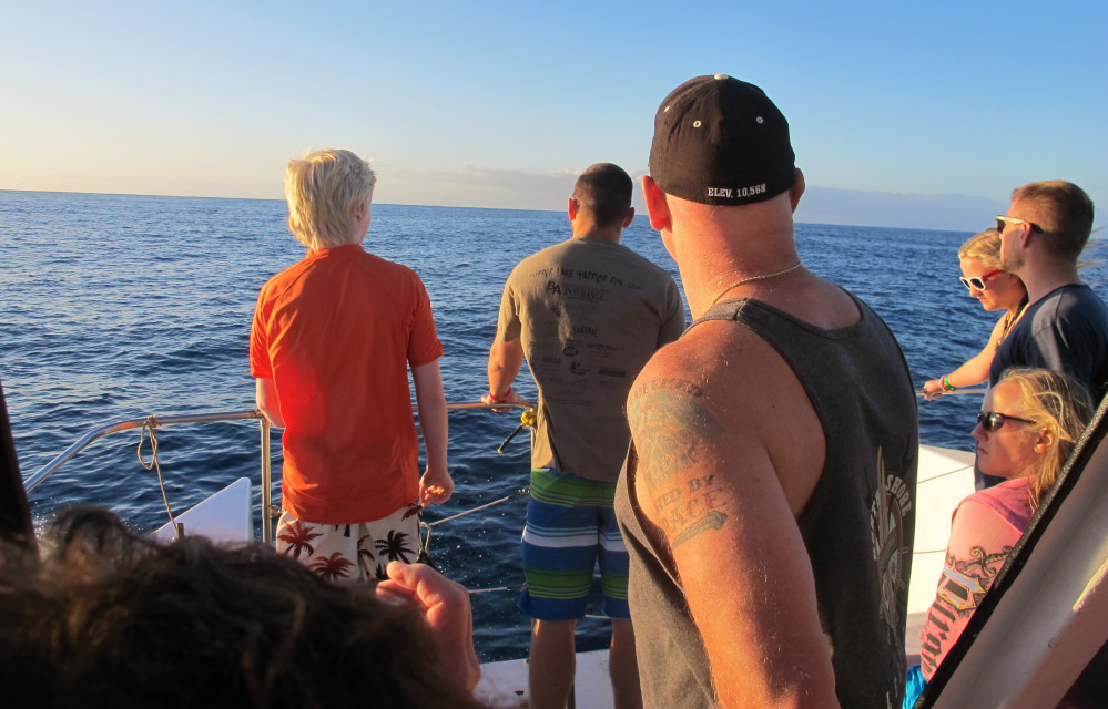 Tourists look toward the horizon as their boat searches for dolphins in waters off Waianae, Hawaii, where swimming with the mammals is still legal.