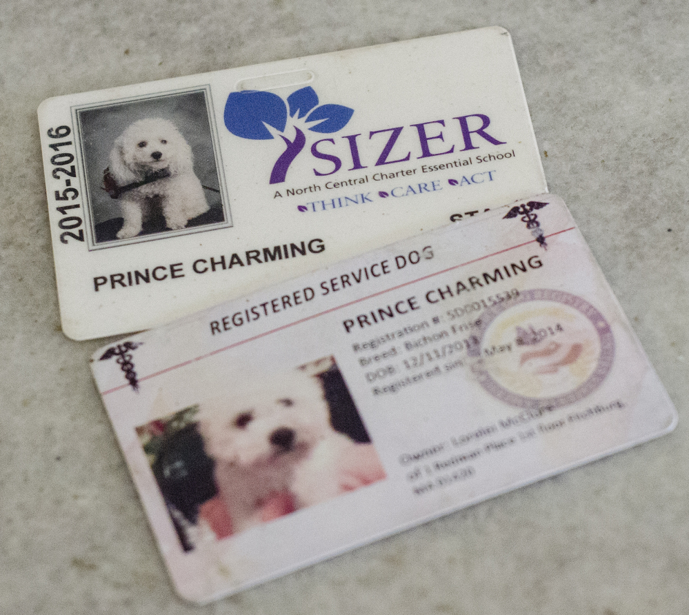 In addition to his identification cards, Prince Charming might be due service medals for the many times he's intervened when his owner was ailing.