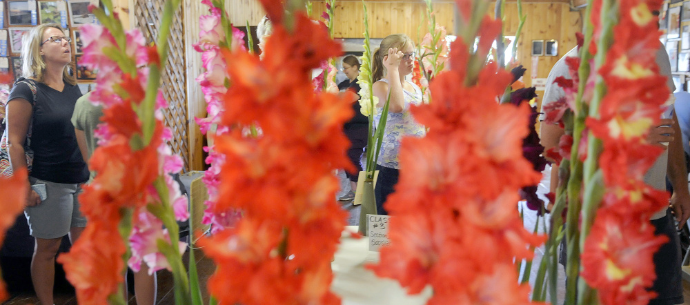 People take in the annual Gladiolus Show on the first day of the Windsor Fair. The fair had more than 100,000 attendees last year and runs this year through Labor Day.