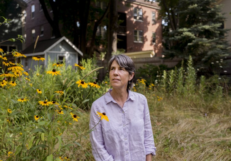 Heather McCargo is working on re-wilding her backyard in Portland's West End. She and her nonprofit Wild Seed Project aim to get more people throughout the state to grow native plants.