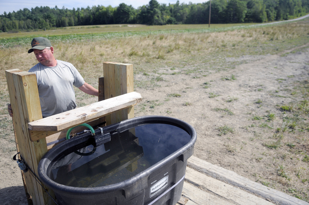 Pete Kelley repairs a water trough at Kelley Bros. Farm in Pittston on Tuesday. The spring that used to provide water to the farm's beef cattle dried up two months ago, forcing Kelley to build a 2,500-foot pipeline from a well. The summer of 2016 will likely set a heat record. In Portland, the month of August set a record by averaging  71.8 degrees – 2 degrees higher than normal – and the highest in 75 years of record-keeping. The summer also was unusually dry. Portland recorded 8.02 inches of rain in the past three months, 2.52 inches below normal. Andy Molloy/Kennebec Journal