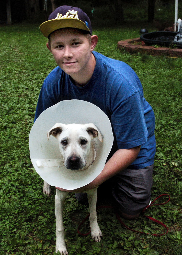 Aided by Maine Lost Dog Recovery, Shane Pottle was reunited with his beloved Tucker, who is wearing a collar to prevent him from aggravating a broken leg.