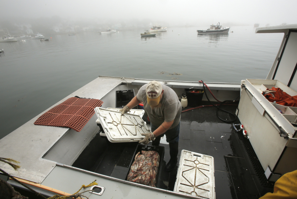 Joe Woods covers a crate of bait Thursday aboard the Schyler Annette at Greenhead Lobster in Stonington Harbor. Many of the area's lobstermen favor closing the state's last open zone, fearing outsiders are rushing to the area to cash in on the lucrative fishery.