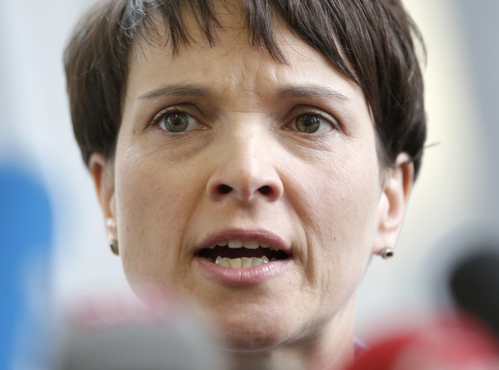 Frauke Petry has come under fire after calling for a racially charged term once favored by the Nazis to be rehabilitated.
