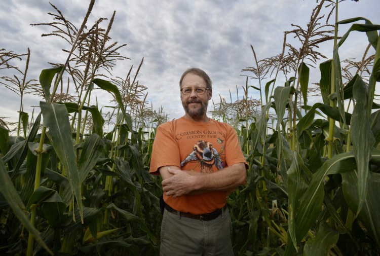 Dave Colson of MOFGA amid rows of corn growing at his Durham farmhouse.