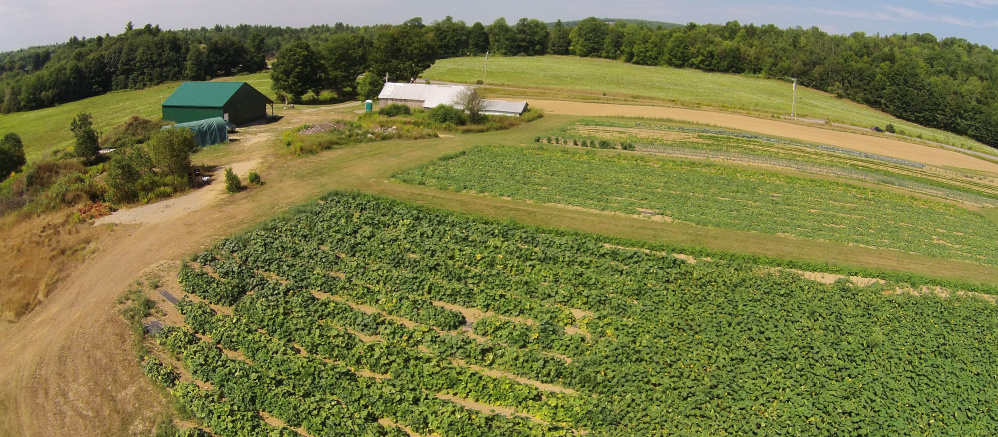 An aerial photo of vegetable gardens at the Maine Coastal Regional Reentry Center farm in Swanville.