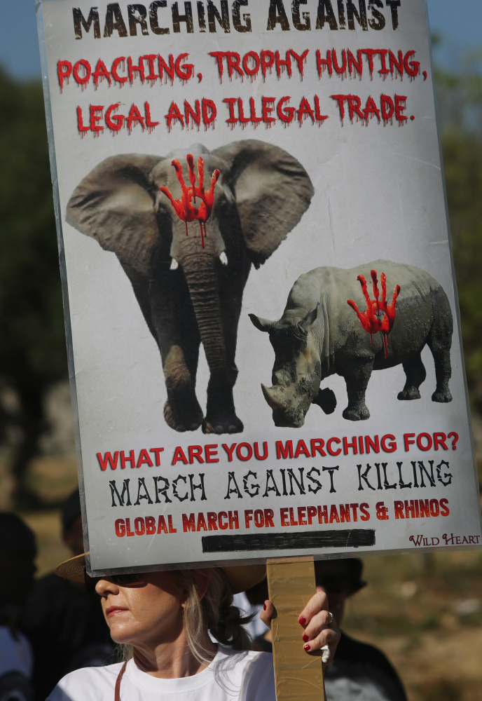 An activist marches to an international wildlife conference in South Africa on Saturday. Ivory poaching has remained at unacceptably high levels since 2010, organizers said.