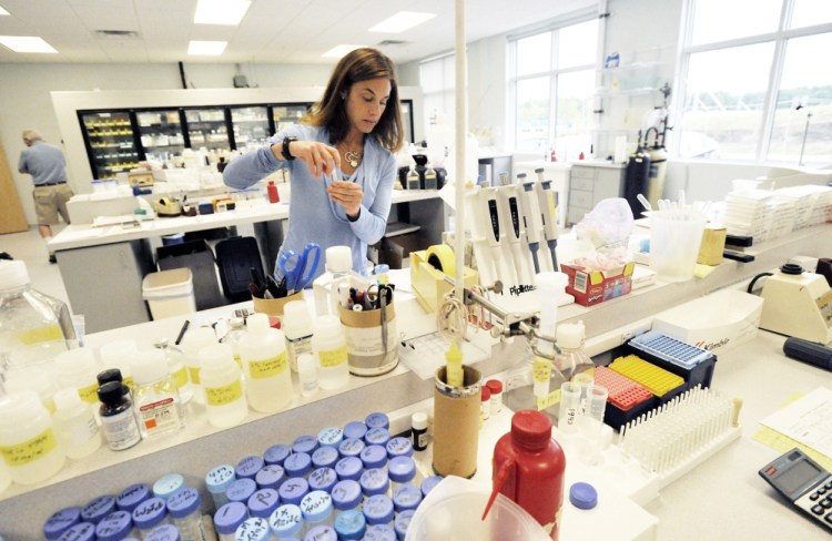 Stacy Cimino works to fill orders at ViroStat's lab. Doug McAllister, the company's president and founder, said that becoming the provider of antibodies for new Zika testing is "a race to be first and a race to see who has the best-quality test."