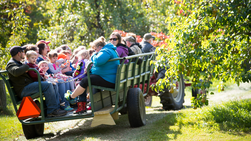 Children and adults from Pittsfield-Manson Pre-K in Pittsfield complete their hayride around The Apple Farm in Fairfield on Friday. thrde lines pls with somethint from story fl  something f from storyef lsefeyssyysy