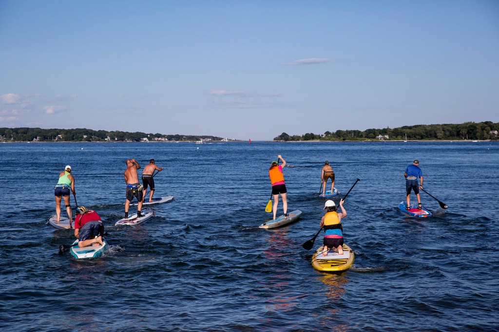 Stand-up paddle board races prove popularity of new water sport