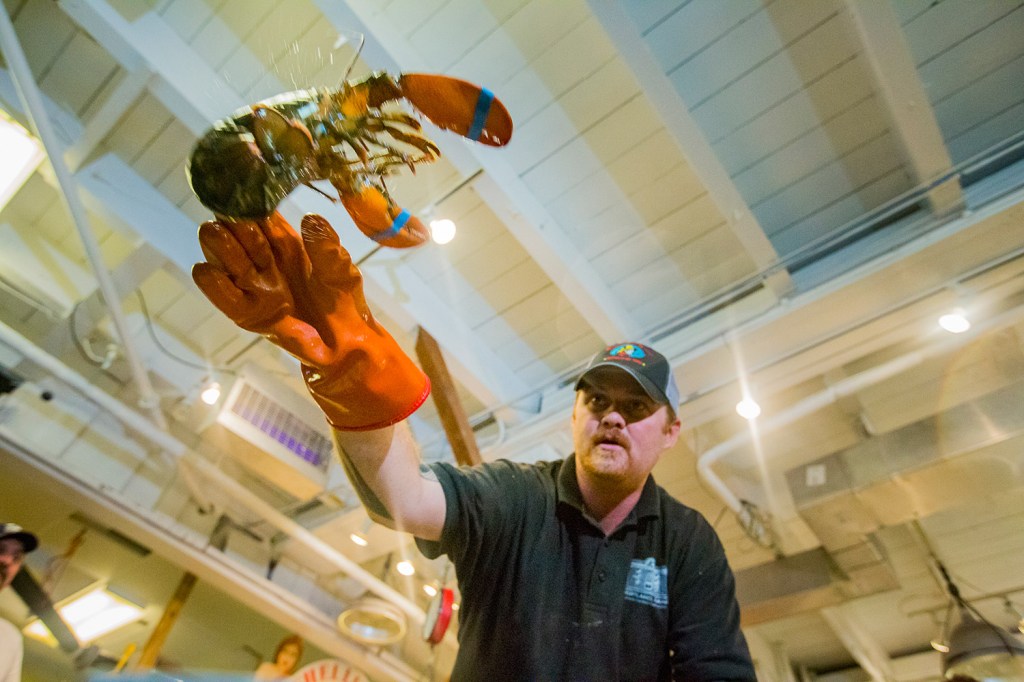 Dan Kraus, retail manager at Harbor Fish Market on Portland's waterfront, sorts lobsters in preparation for Labor Day weekend. Lobster prices have spiked as holiday demand has ramped up.
Ben McCanna/Staff Photographer