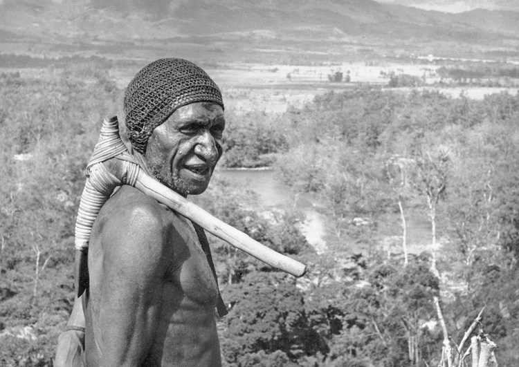 An elder warrior with a stone axe stands over the Baliem Valley in central Papua New Guinea in this Feb. 20, 1962, photo.  
A new paper says it found a trace of DNA in native Papua New Guineans that suggests they may have split from Africans 120,000 years ago, <em>Associated Press </em>